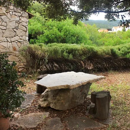 Mirca 10197b Daire Lovište